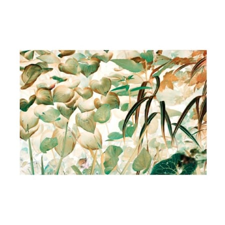 Judy Stalus 'Autumn Fantasy' Canvas Art,16x24